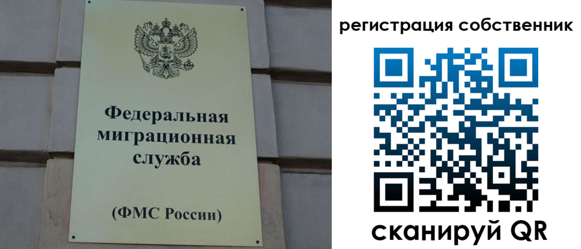 прописка гарантия в Суворове